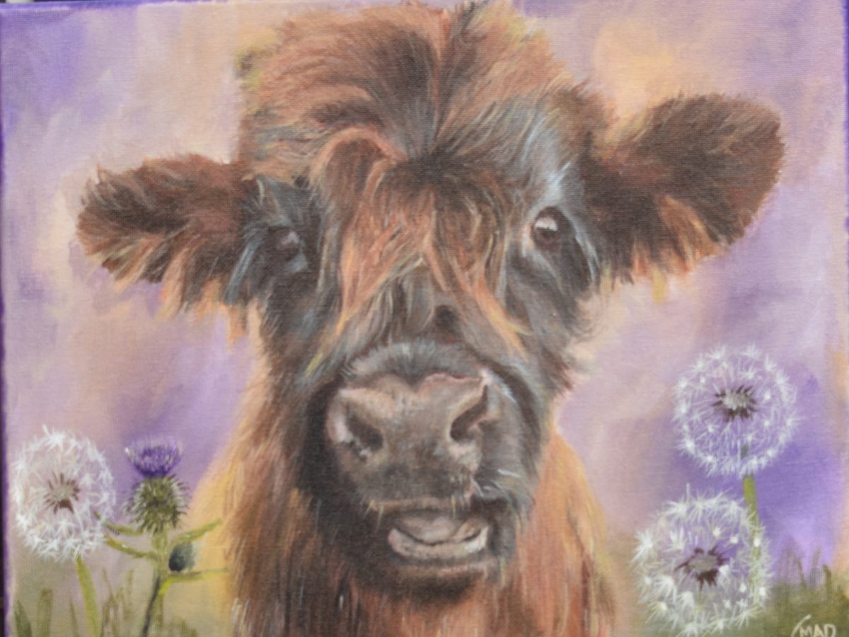 P11PR Moo Wishes