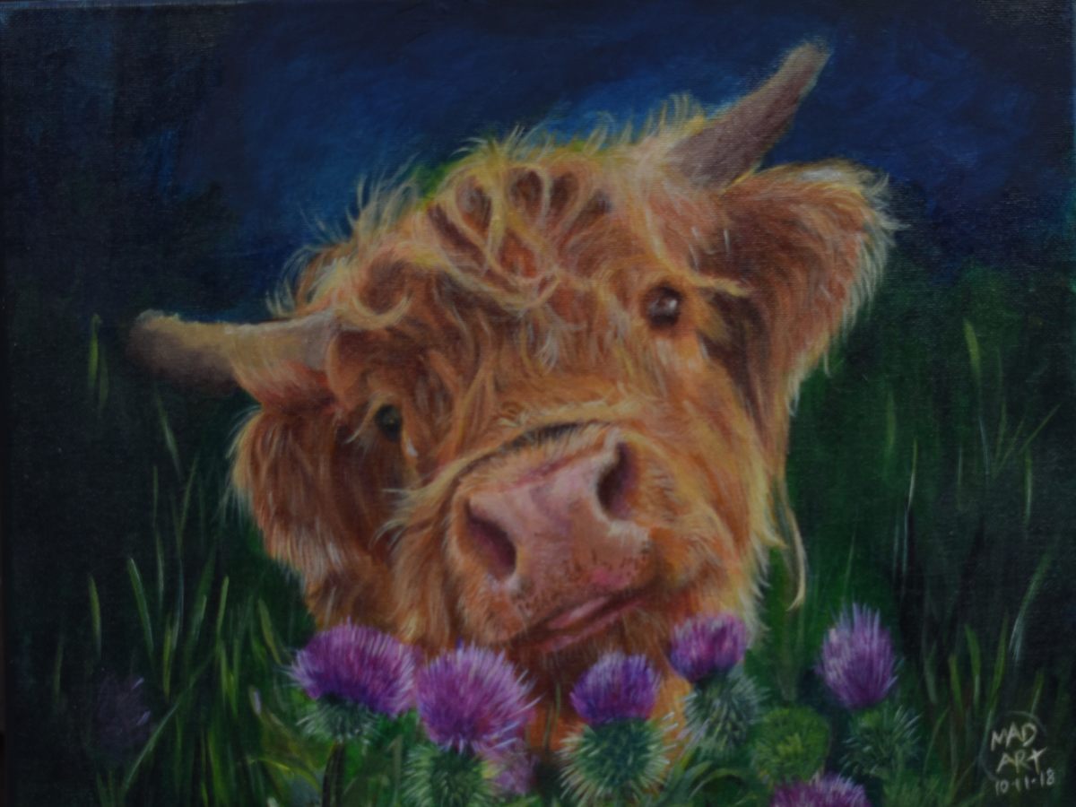 P09 Moo Night