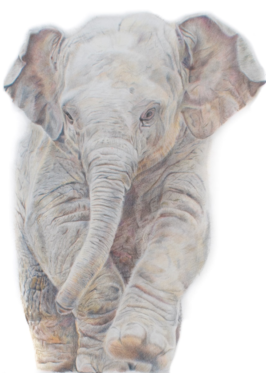baby wrinkles for web (1 of 1)