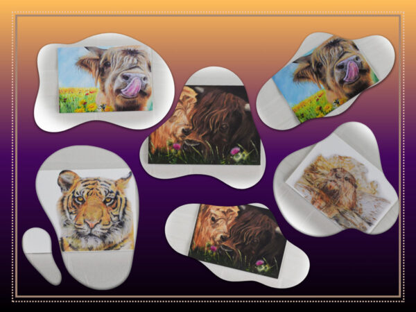 Trial prints Offer