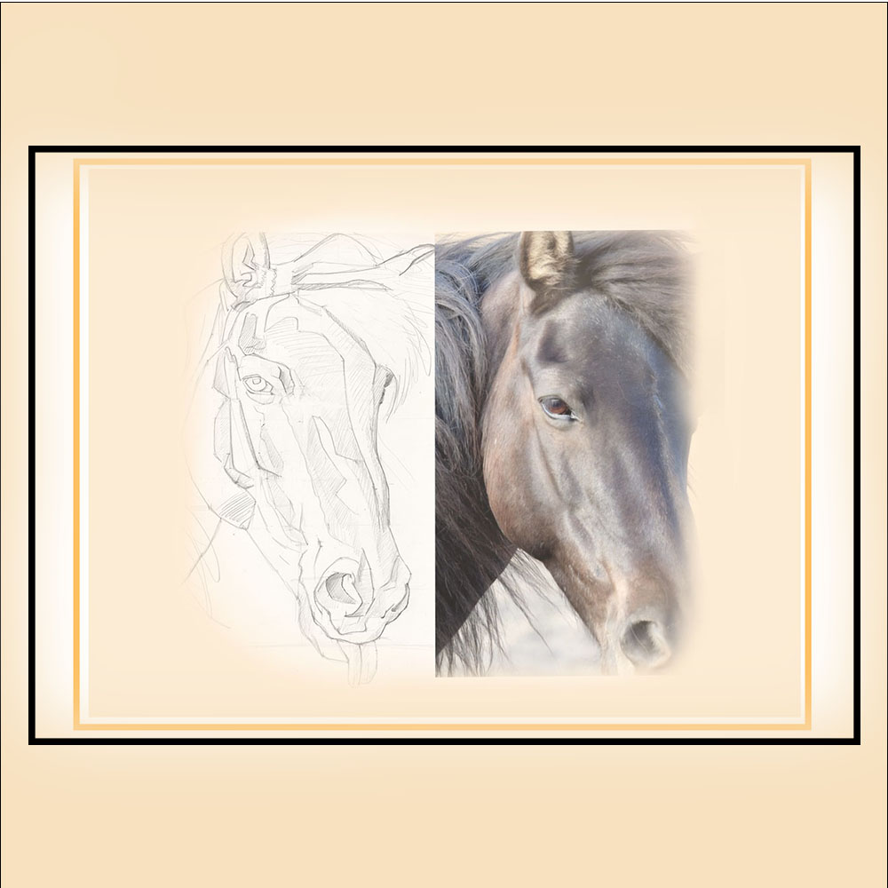 Paint A Horse Portrait Workshop